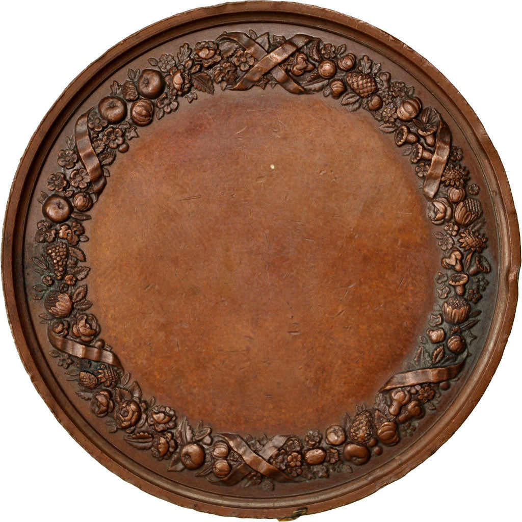 France, Medal, Second French Empire, Copper, AU(50-53)