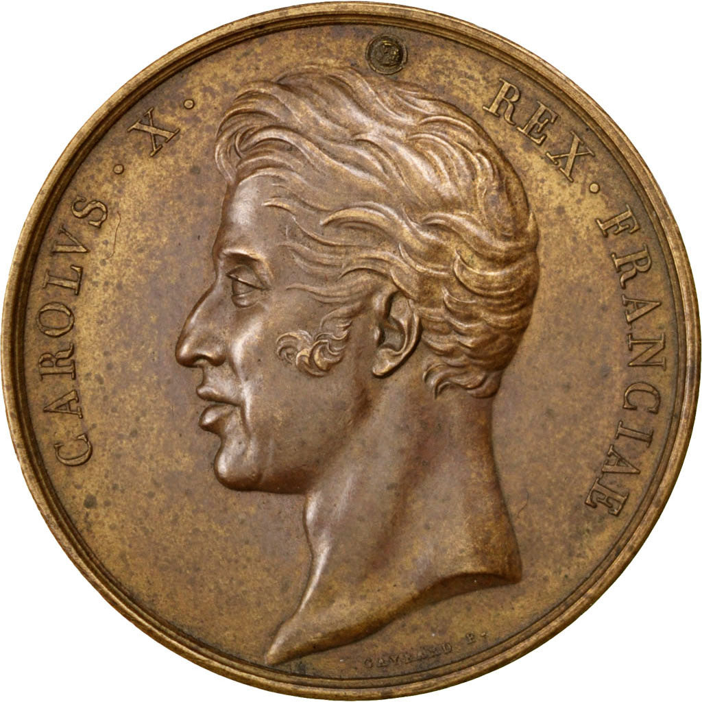 Frankreich, Medaille, Charles X, 1825, Kupfer, Gayrard, SS+