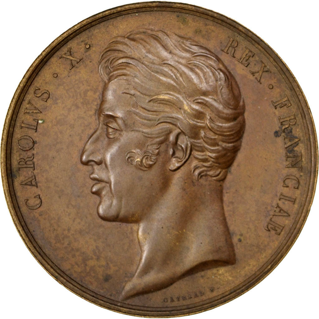Francia, medaglia, Charles X, 1825, Bronzo, Gayrard, SPL-