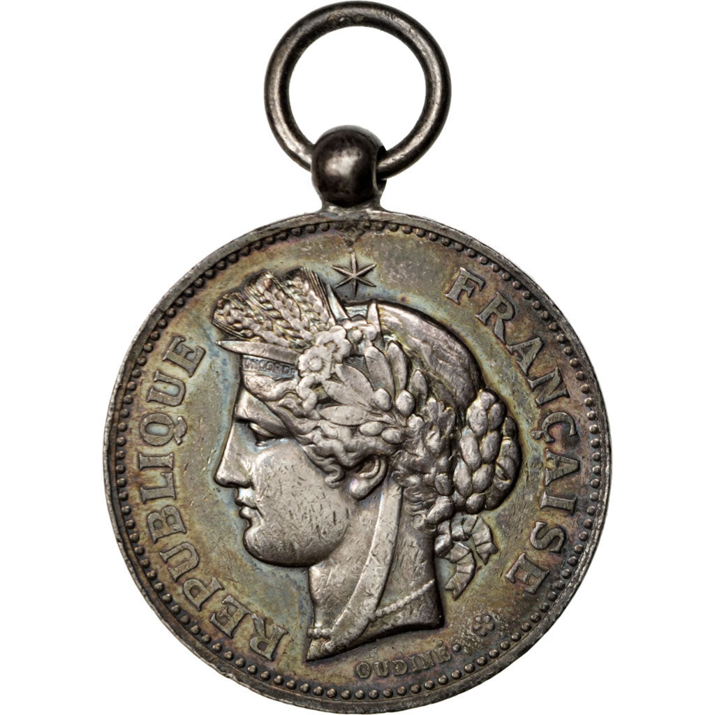 France, Medal, French Third Republic, 1882, Silver, Oudiné, AU(55-58)