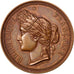 Francia, medalla, French Third Republic, 1893, Cobre, Desaide, EBC