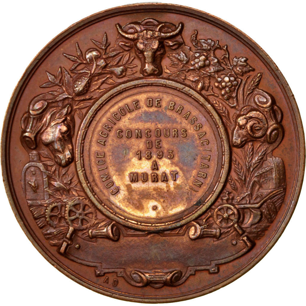 Francia, medalla, French Third Republic, 1893, Cobre, Desaide, EBC