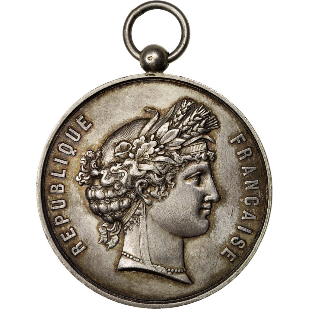 France, Médaille, French Third Republic, 1878, Argent, SUP