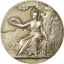 Francia, medaglia, French Third Republic, 1904, Vermeil, SPL-