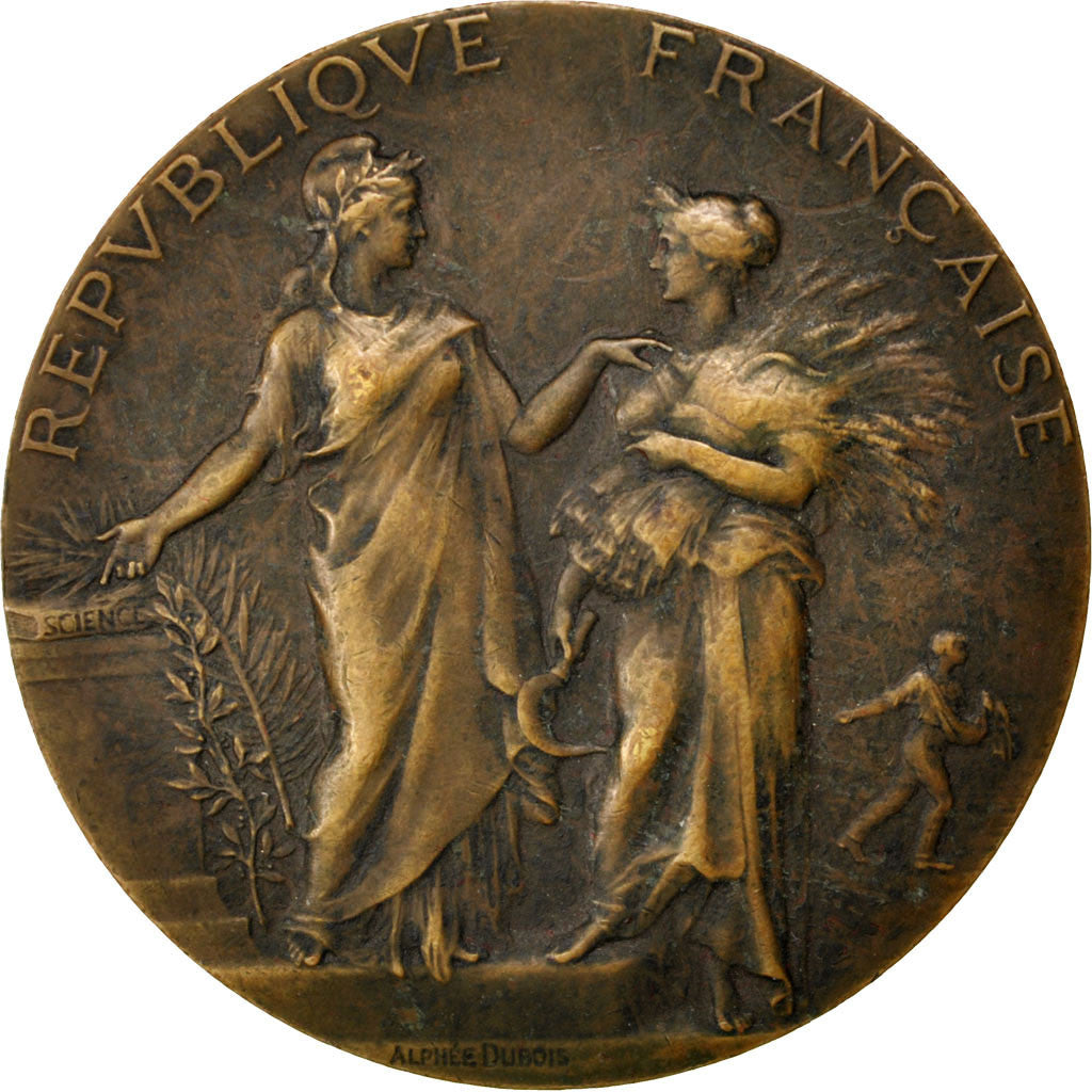 Francia, medaglia, French Third Republic, 1910, Bronzo, Dubois.A, BB+