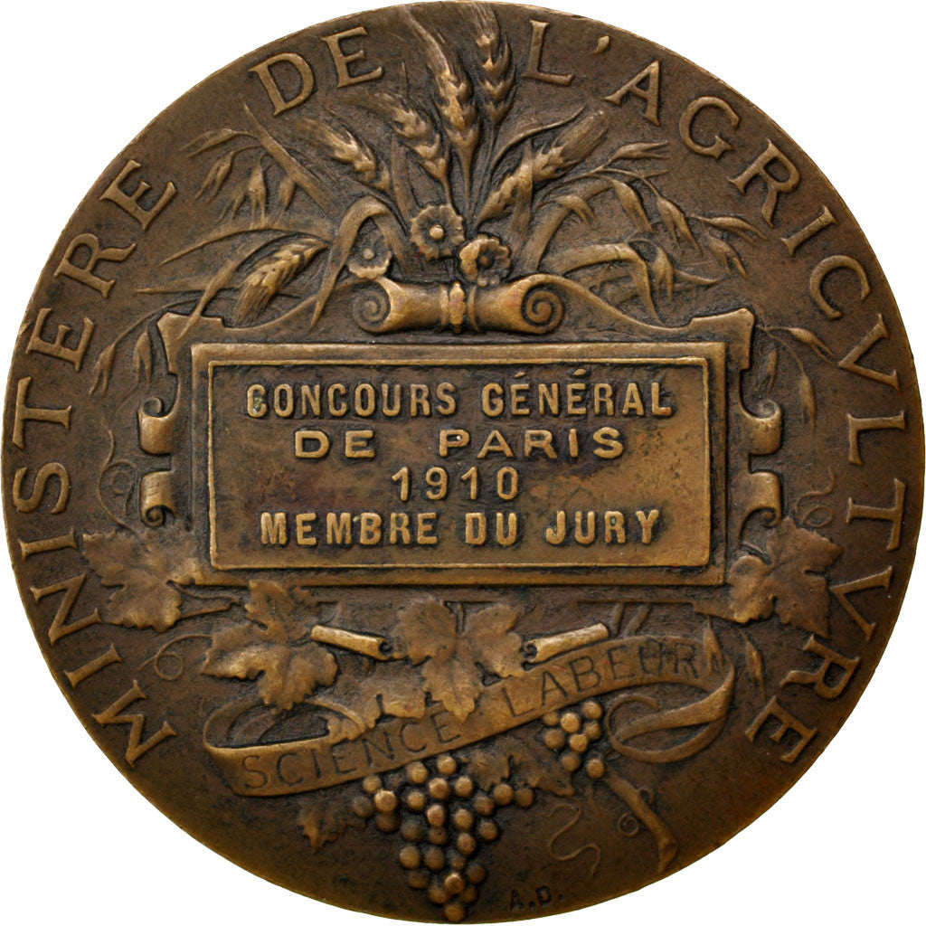 Francia, medaglia, French Third Republic, 1910, Bronzo, Dubois.A, BB+