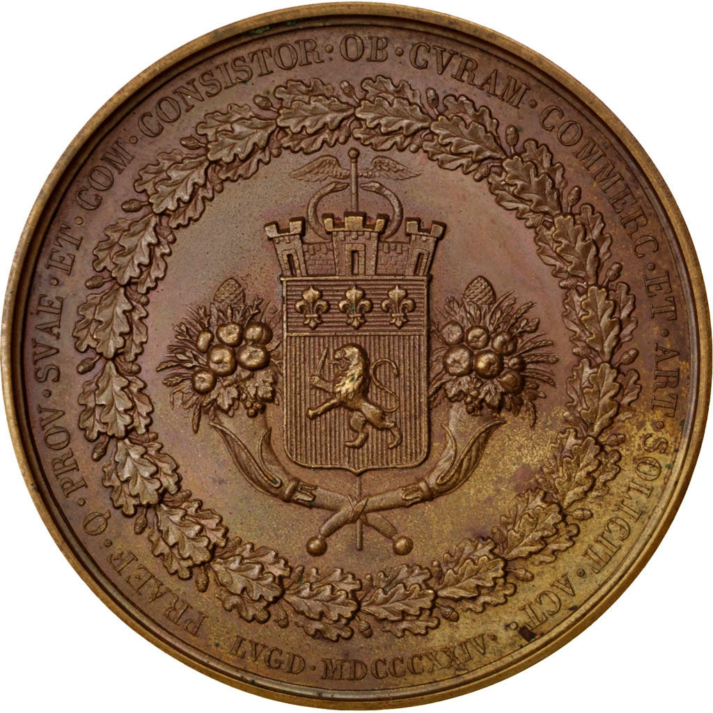 France, Medal, Charles X, 1824, Copper, Barre, AU(55-58)
