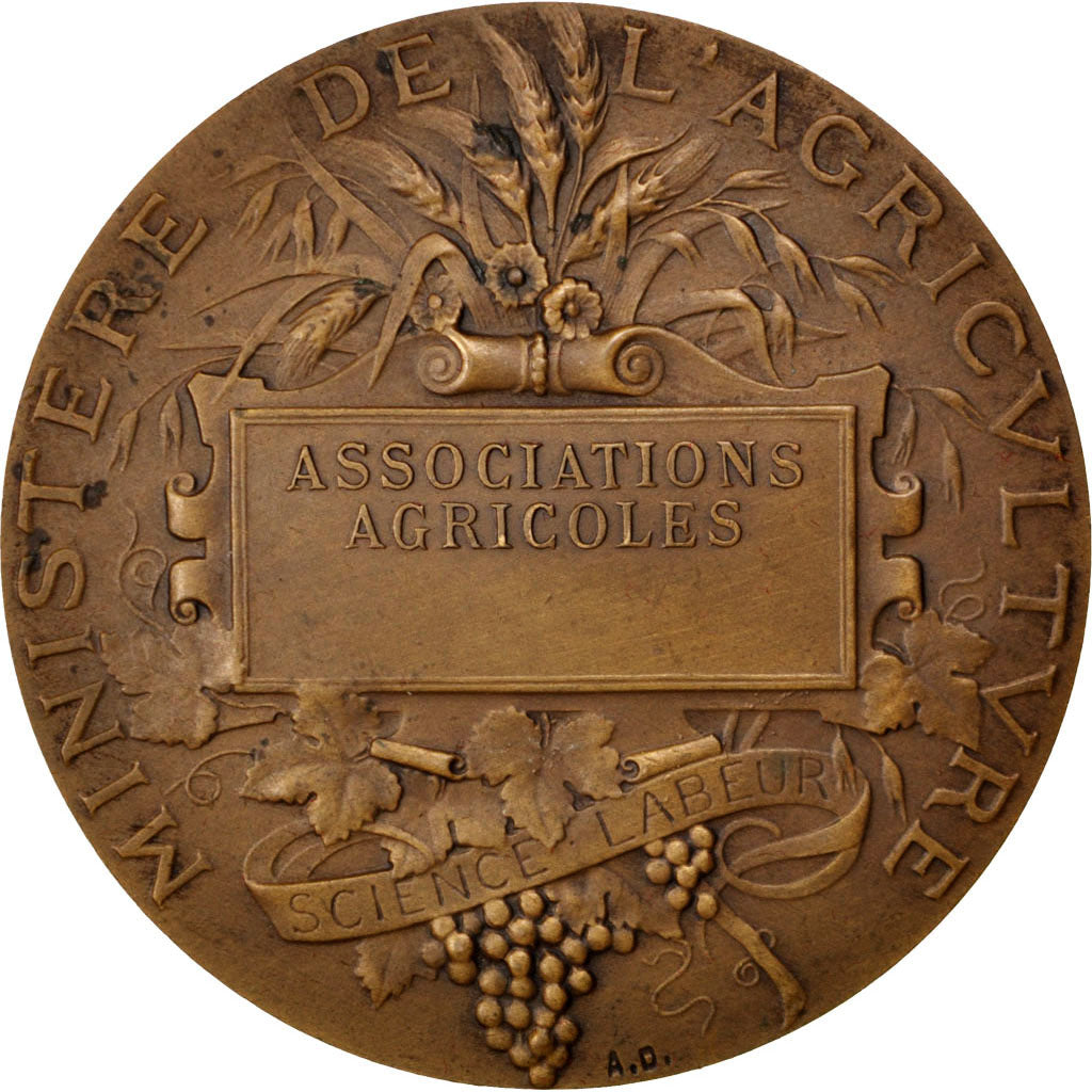 France, Médaille, French Third Republic, Bronze, Dubois.A, SUP