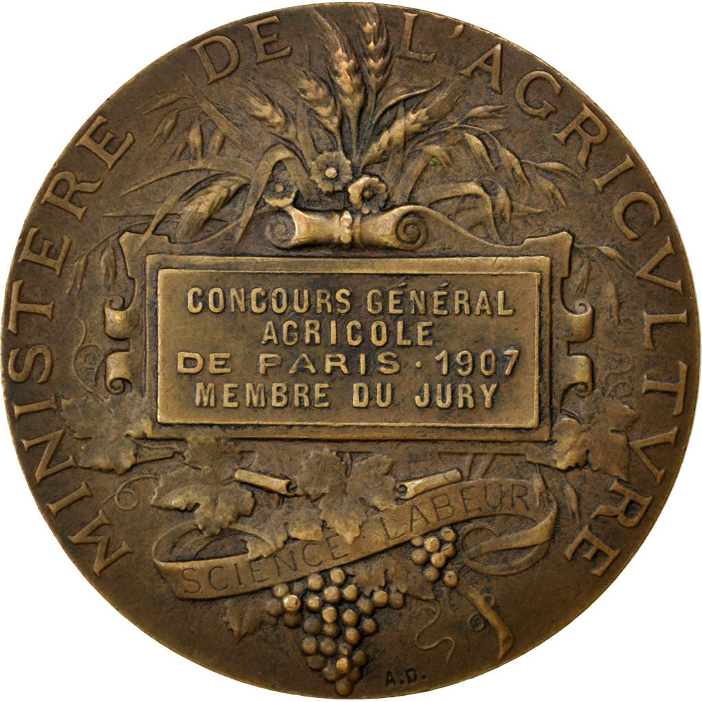 Francia, medaglia, French Third Republic, 1907, Bronzo, Dubois.A, BB+