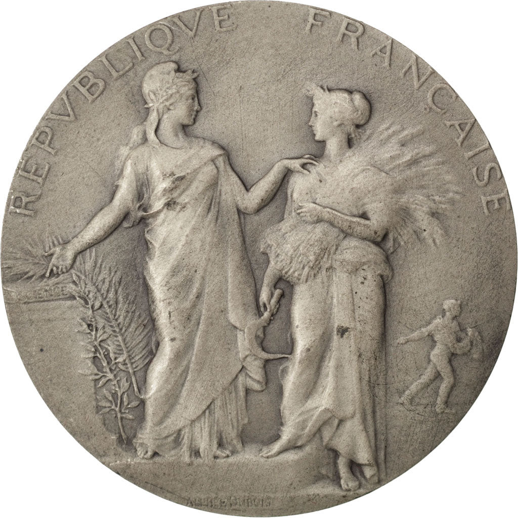 France, Médaille, French Third Republic, Argent, Dubois.A, TTB+