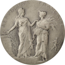 France, Médaille, French Third Republic, Argent, Dubois.A, TTB+