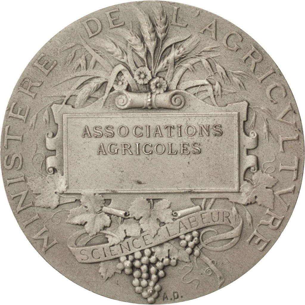 France, Médaille, French Third Republic, Argent, Dubois.A, TTB+