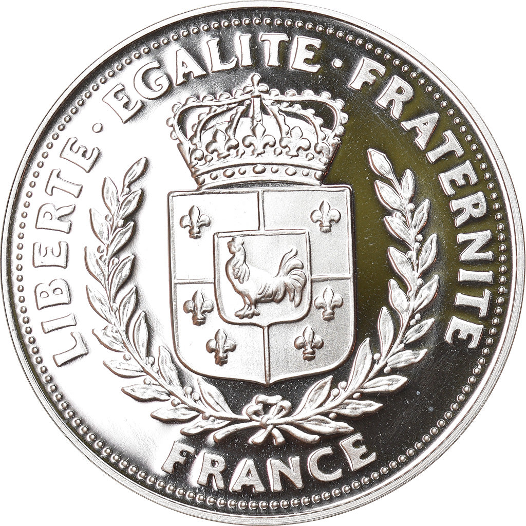 Francia, medaglia, Déclaration des Droits de l'Homme, Politics, Society, War