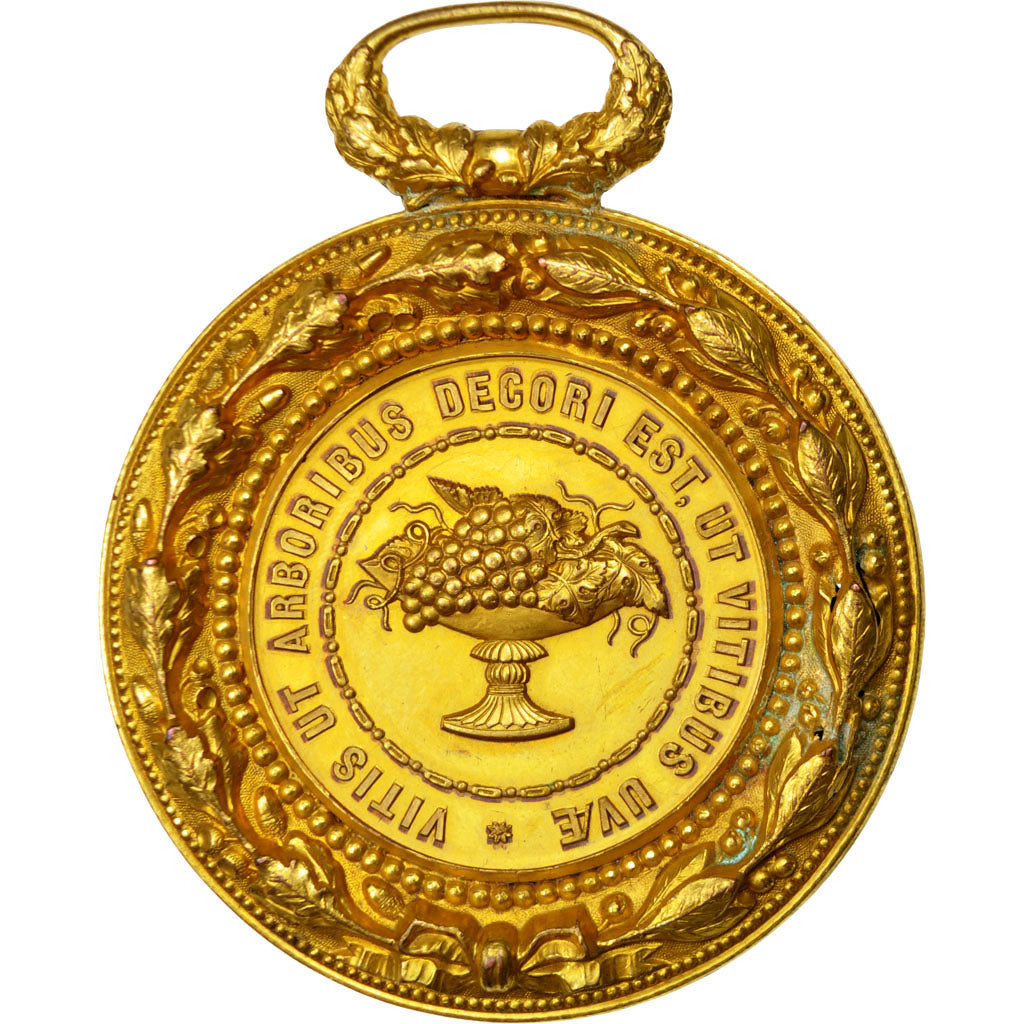 France, Medal, French Third Republic, Copper, AU(50-53)
