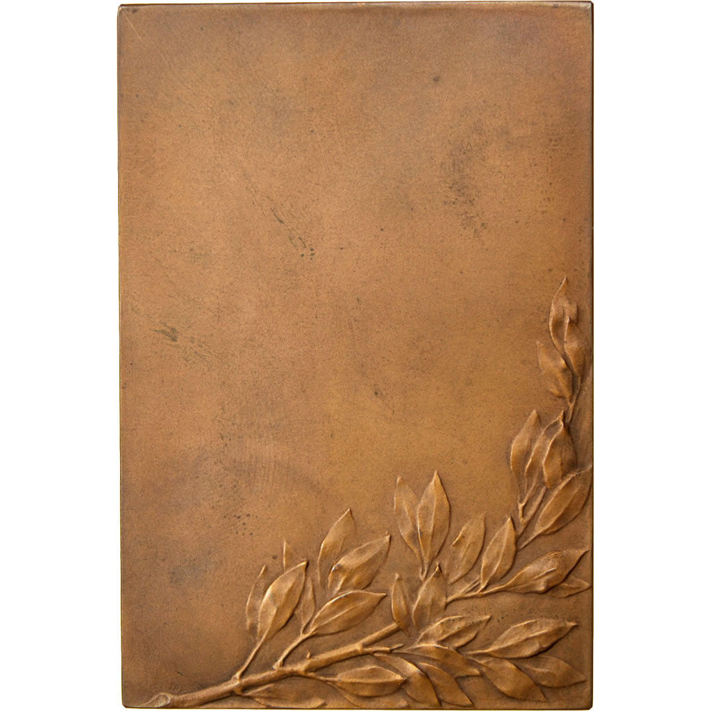 France, Médaille, French Third Republic, Bronze, Vernier, SUP