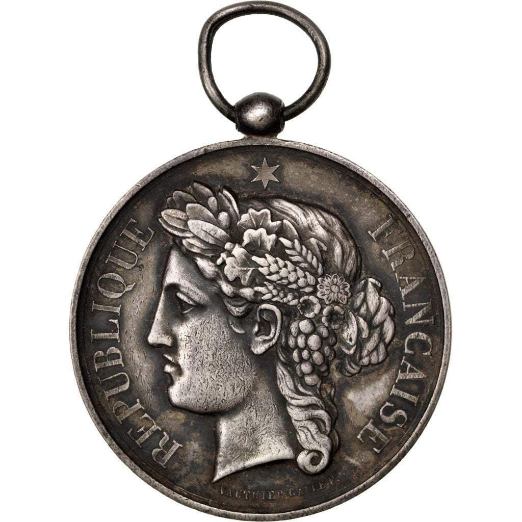 France, Médaille, French Third Republic, 1879, Argent, Galle, TTB+