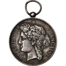 France, Médaille, French Third Republic, 1879, Argent, Galle, TTB+