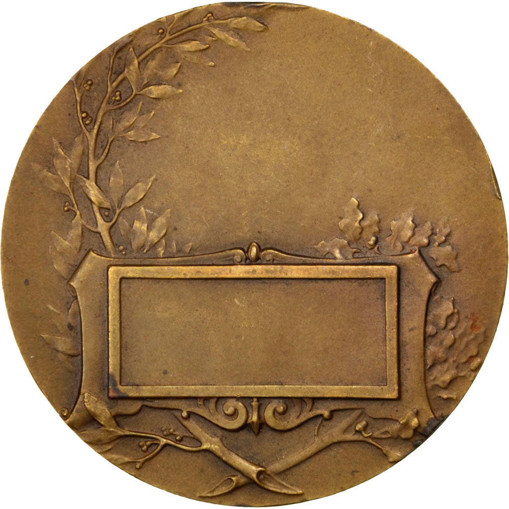 Frankrijk, Medaille, French Third Republic, Bronzen, PR