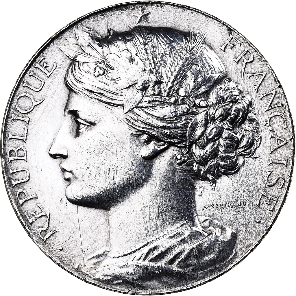 Frankrijk, Medaille, Comice agricole de l'arrondissement de Remiremont, 1897