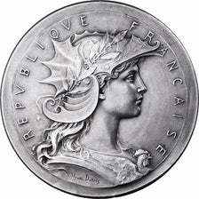 France, Médaille, Comice agricole d'Epinal, Argent, SUP, Dubois.H