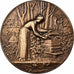Frankrijk, Medaille, L'Abeille Vosgienne, Bronzen, Desaide, PR