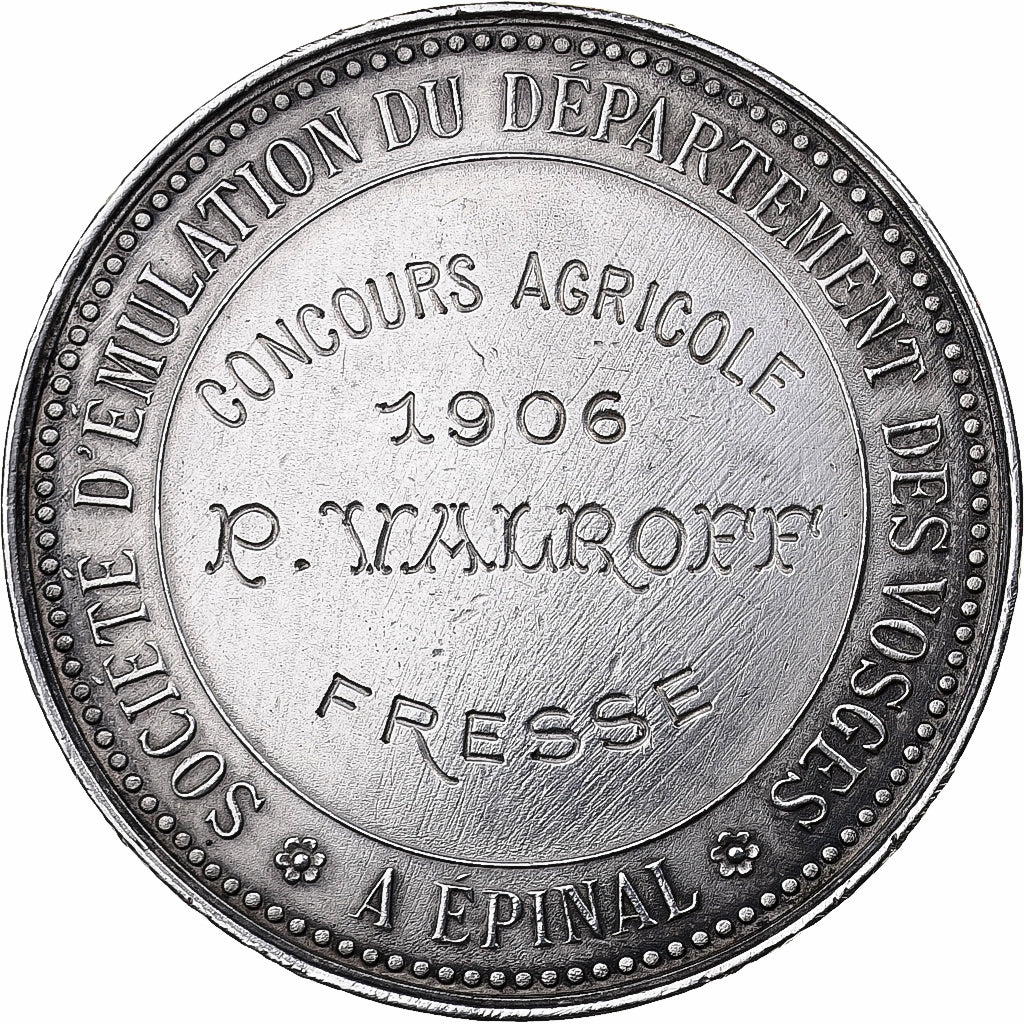 France, Medal, Société d'émulation du département des Vosges, 1906, Silver