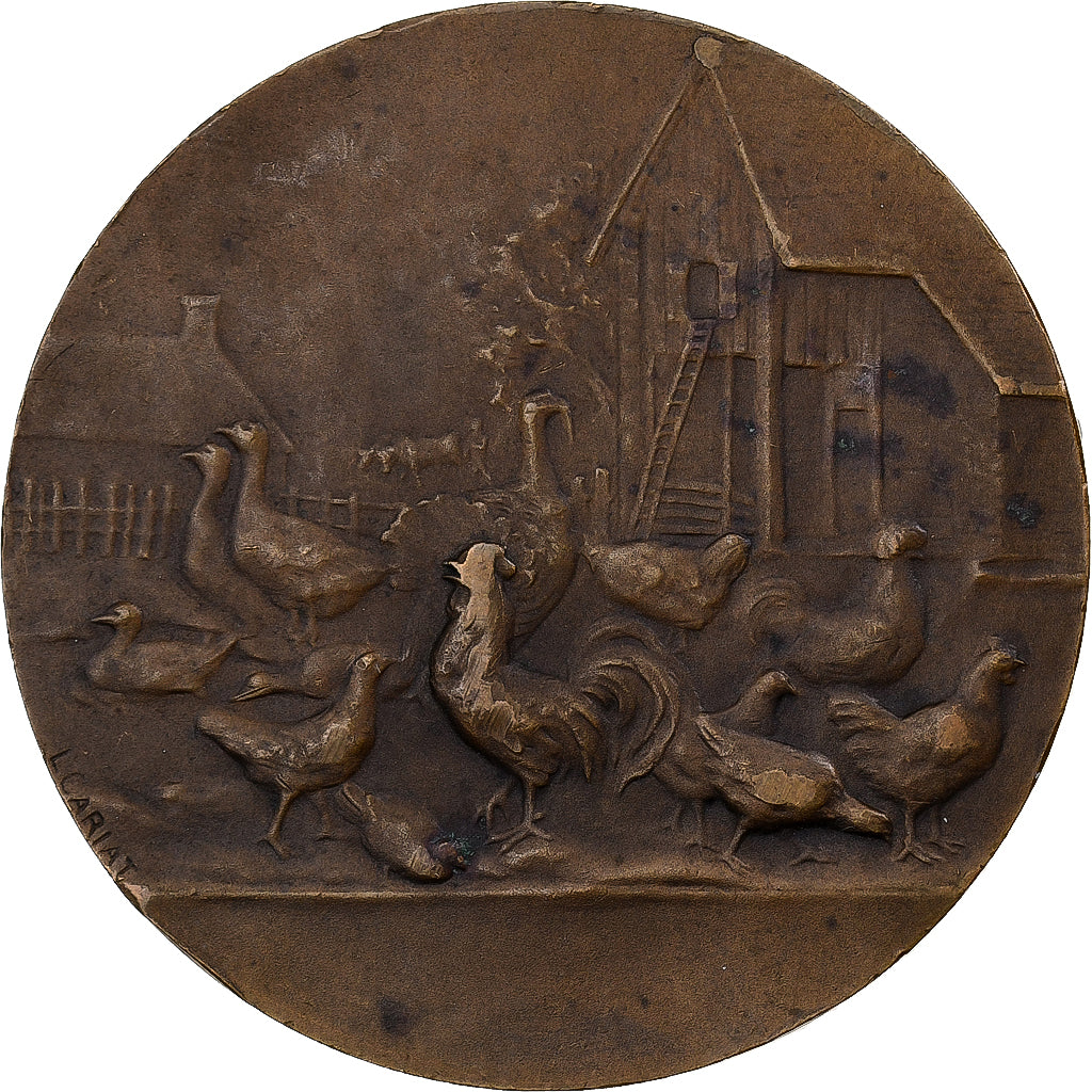 Frankreich, Medaille, La Basse-cour familiale de la Vallée de la Lys, Bronze