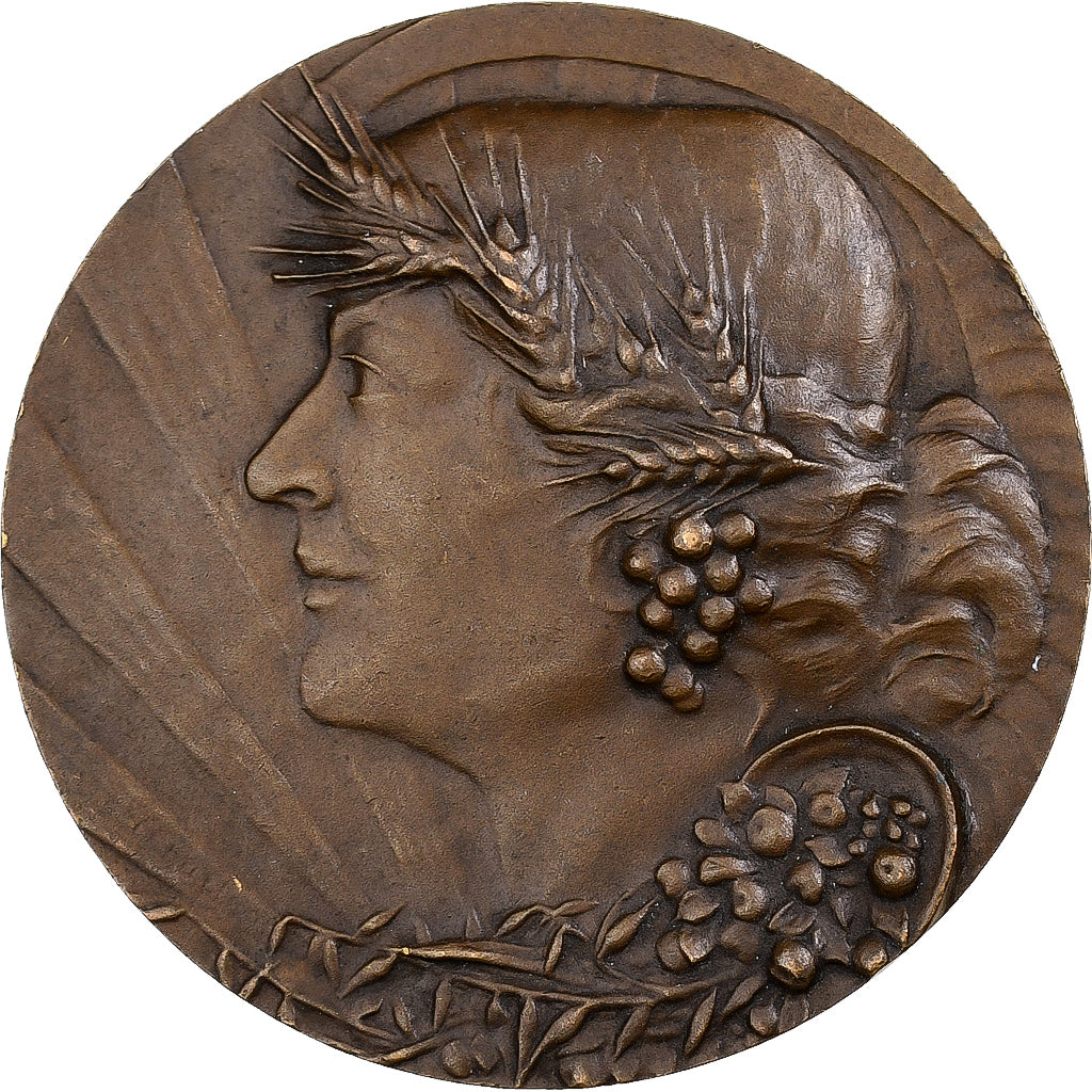 France, Médaille, Association du mérite agricole du Nord, Bronze, SUP