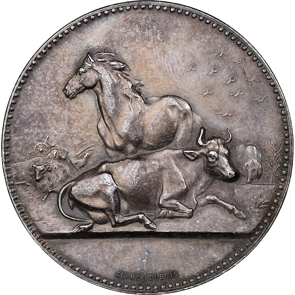 France, Medal, Comice Agricole de Rouen, Silver, Dubois.A, AU(55-58)