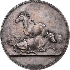 France, Medal, Comice Agricole de Rouen, Silver, Dubois.A, AU(55-58)