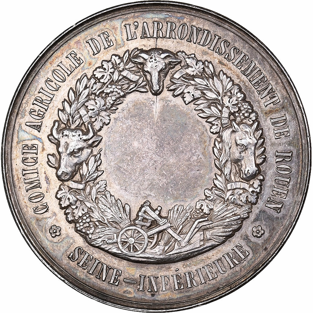 France, Medal, Comice Agricole de Rouen, Silver, Dubois.A, AU(55-58)