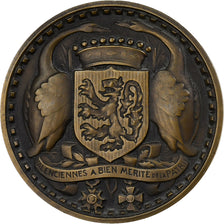 Francia, medalla, Valenciennes a bien mérité de la Patrie, Bronce, EBC