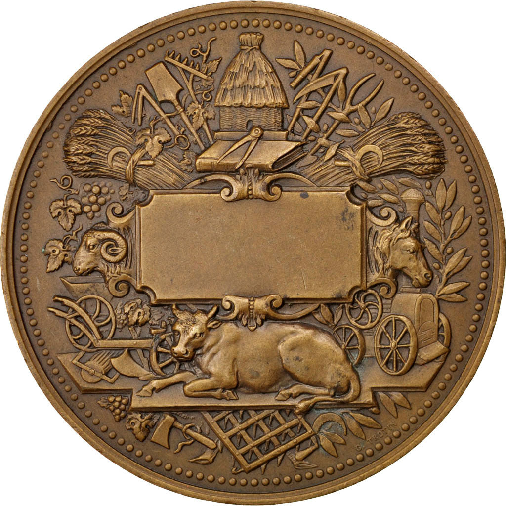 Frankrijk, Medaille, French Third Republic, Bronzen, Trotin, ZF+