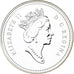 Canada, Elizabeth II, Dollar, Henry Kelsey, 1990, Royal Canadian Mint, Argento