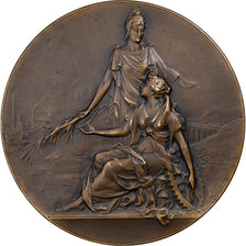 France, Médaille, Société industrielle et commerciale de Roubaix, Bronze