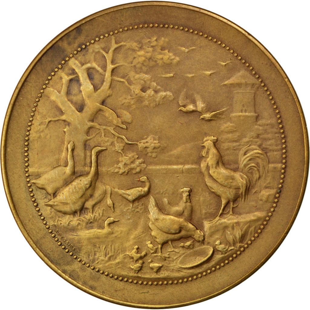 Frankrijk, Medaille, French Third Republic, Bronzen, PR