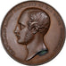 Reino Unido, medalha, Prince Albert, 1851, Bronze, AU(50-53)