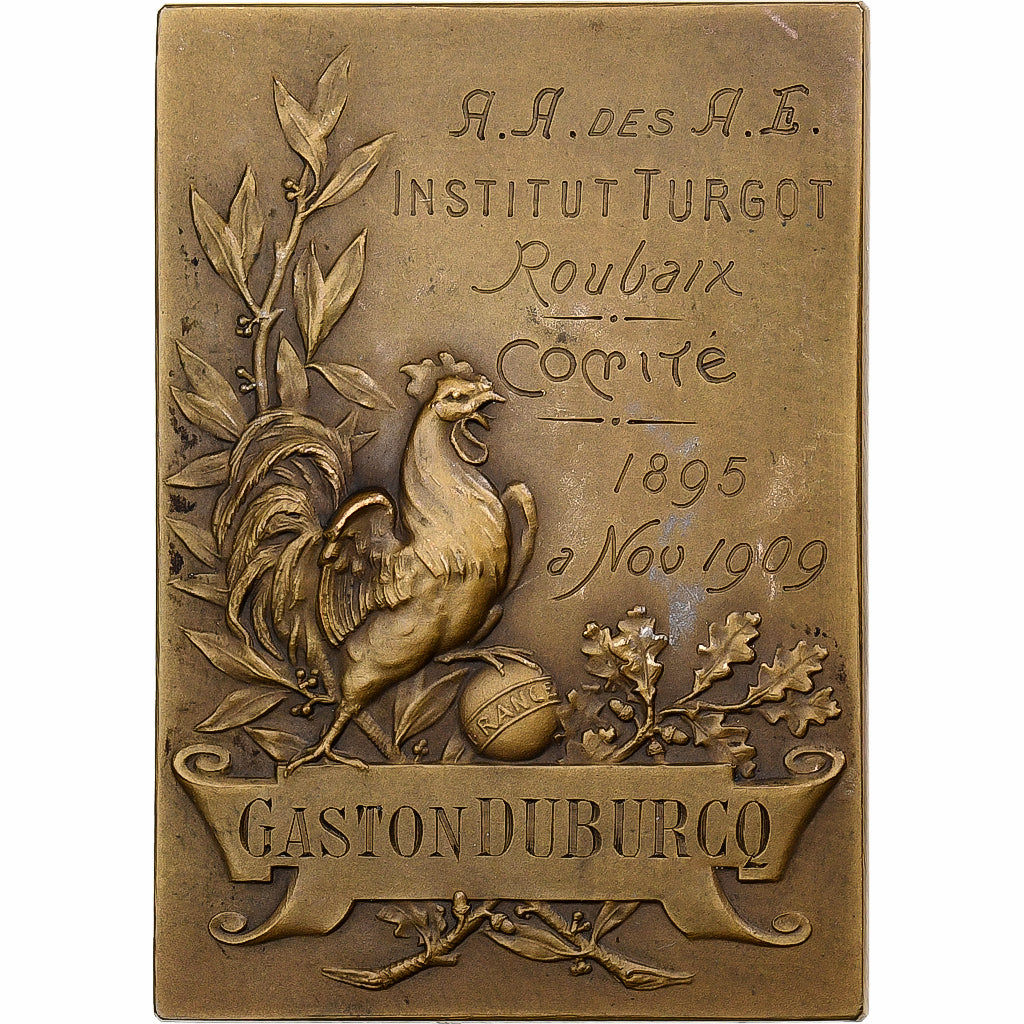 France, Medal, Institut Turgot, Bronze, Pillet, AU(55-58)