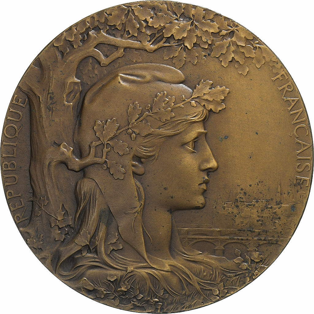 Francia, medaglia, Exposition Universelle Internationale de Paris, 1900, Bronzo