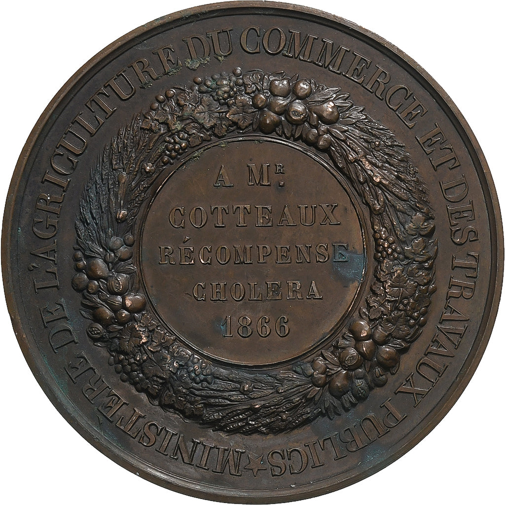 France, Medal, Napoléon III, Ministère de l'Agriculture et de Commerce, 1866