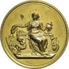 Frankreich, Medaille, Exposition internationale des industries modernes, 1910