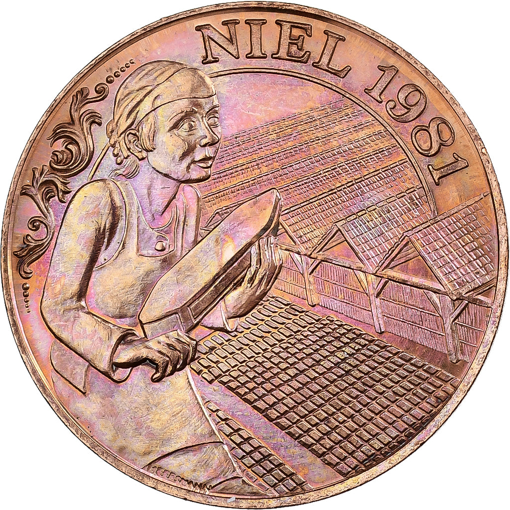 Belgio, ficha, 50 Geleigputter - Niel, 1981, Acciaio placcato rame, SPL