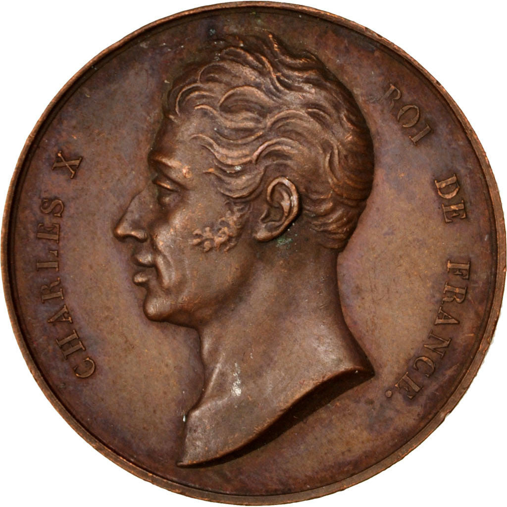 Frankrijk, Medaille, Charles X, 1824, Bronzen, ZF+