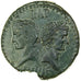 Augustus & Agrippa, Dupondius, 9-3 BC, Nemausus, Bronze, SS+, RIC:158