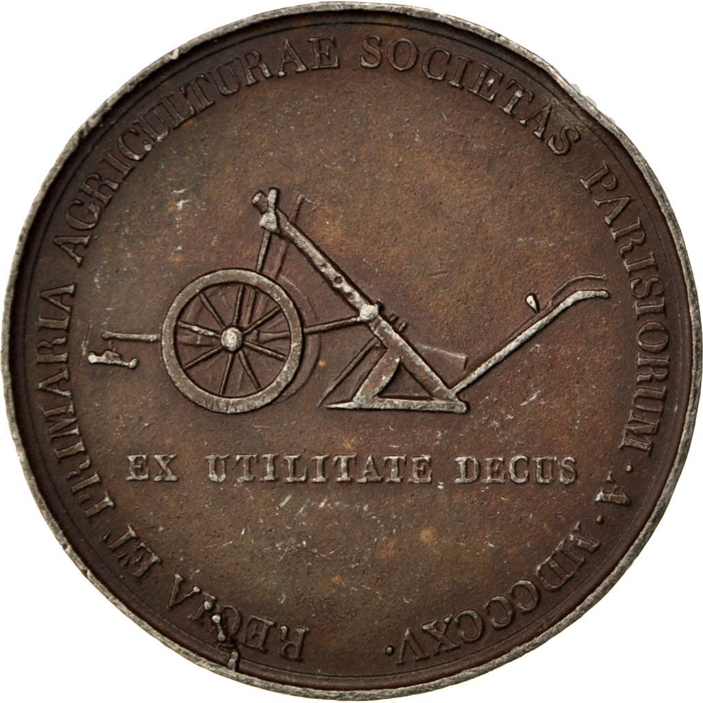 France, Medal, Hundred Days, 1815, Tin, EF(40-45)