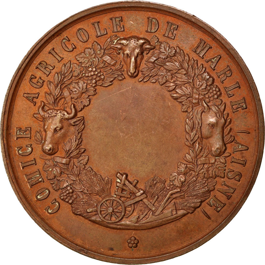 Frankrijk, Medaille, French Third Republic, Bronzen, PR