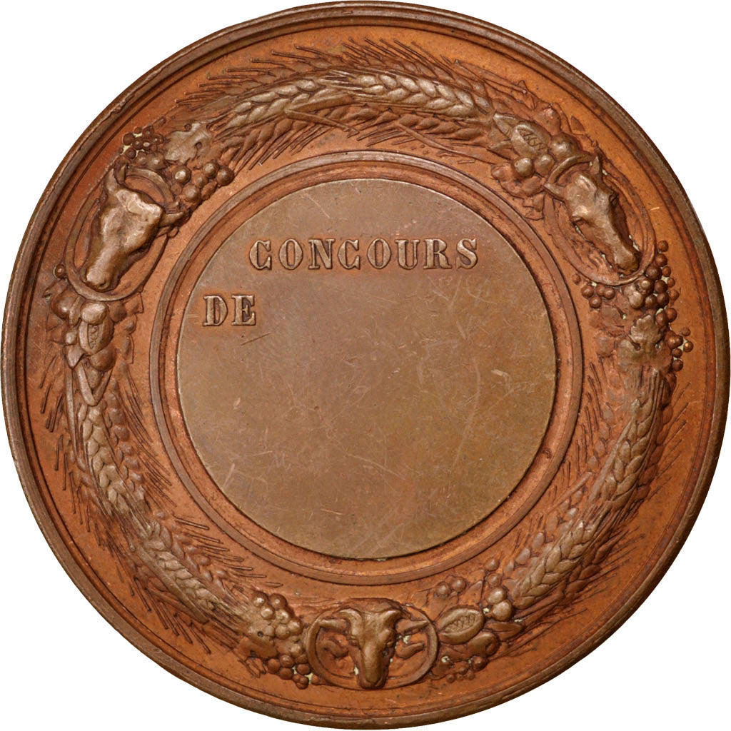 Frankrijk, Medaille, French Third Republic, Bronzen, PR