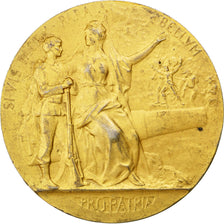 Francia, medalla, French Third Republic, Oro vermeil, Grandhomme, MBC+