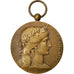Frankreich, Medaille, French Third Republic, Bronze, Dupuis.D, VZ