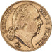 Francja, Louis XVIII, 20 Francs, 1816, Paris, Złoto, EF(40-45), Gadoury:1028